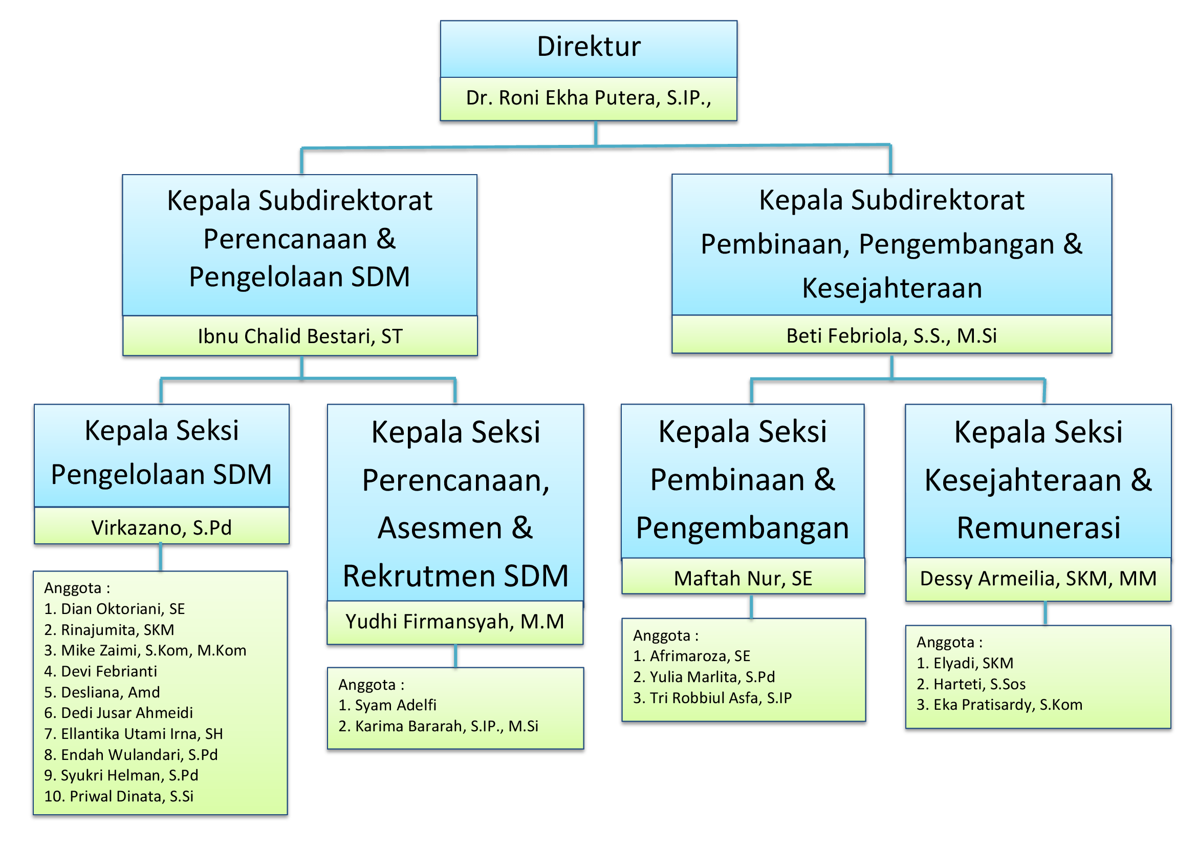 SDM new input ini